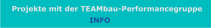 Projekte mit der TEAMbau-Performancegruppe INFO